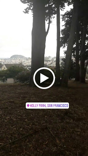 Park «Holly Park», reviews and photos, 625 Holly Park Cir, San Francisco, CA 94110, USA