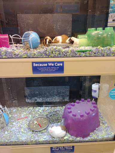 Pet Supply Store «PetSmart», reviews and photos, 150 Lincoln Square, Arlington, TX 76011, USA