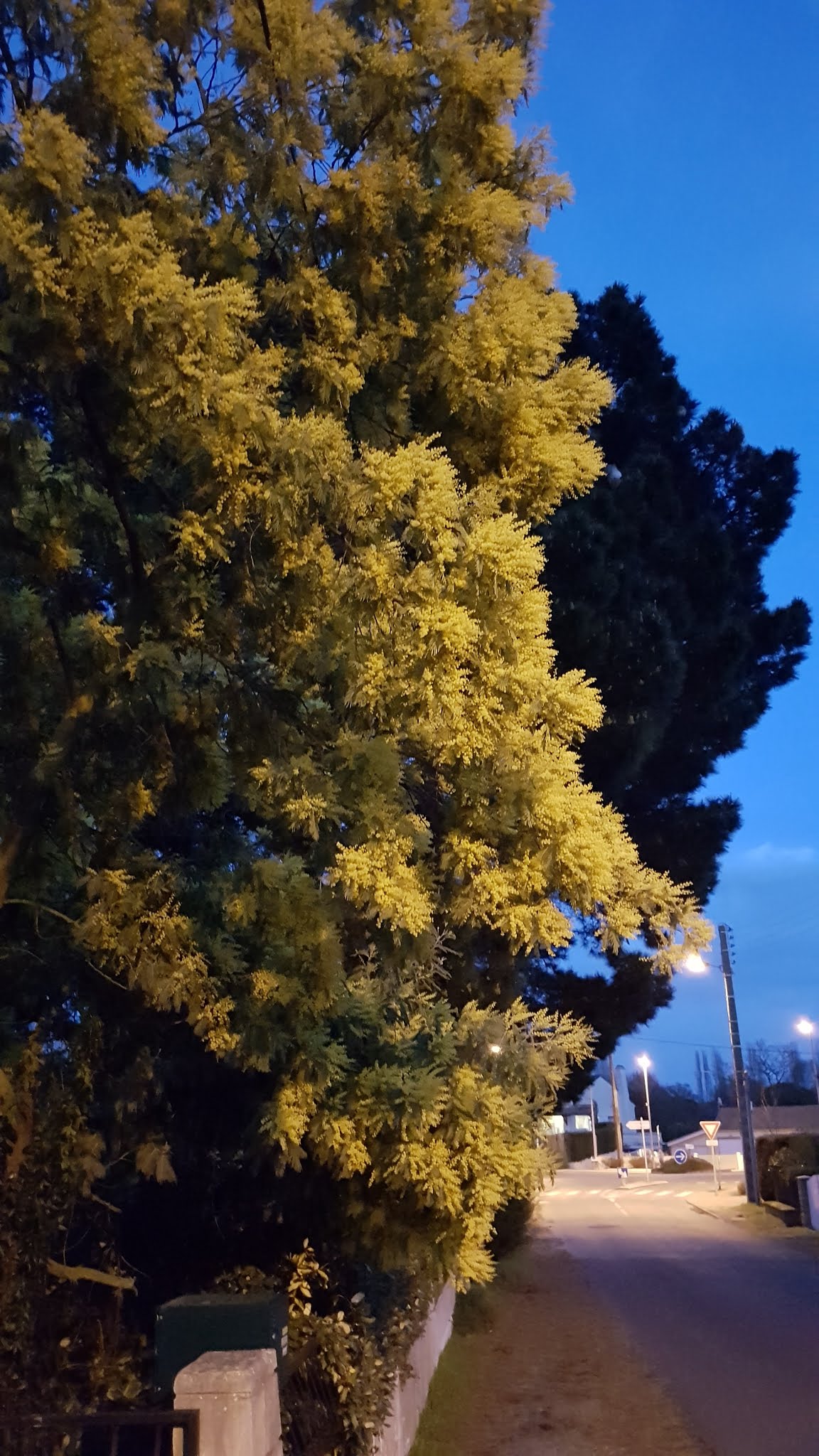 Photo n° 4 de l'avis de Isabelle.I fait le 20/02/2019 à 10:06