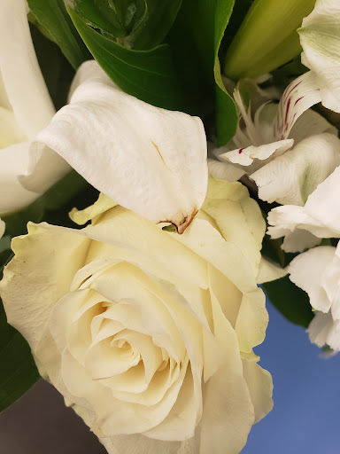 Florist «HAPPY FLOWERS», reviews and photos, 20709 US-27, Lake Wales, FL 33853, USA