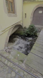 Photo n°61 de La palme d'or à Kaysersberg ()