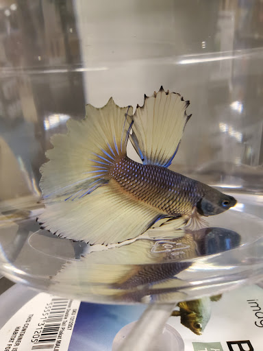 Pet Supply Store «Petco Animal Supplies», reviews and photos, 5047 E Marketplace Dr, Flagstaff, AZ 86004, USA