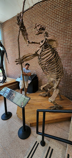 Natural History Museum «Joseph Moore Museum», reviews and photos, 801 National Rd W, Richmond, IN 47374, USA