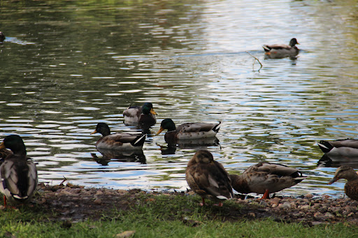 Historical Landmark «Villa Louis», reviews and photos, 521 N Villa Louis Rd, Prairie du Chien, WI 53821, USA