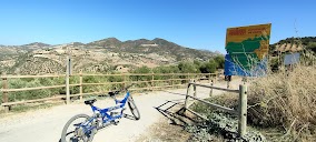 Alquiler De Bicicletas en Coripe en Coripe