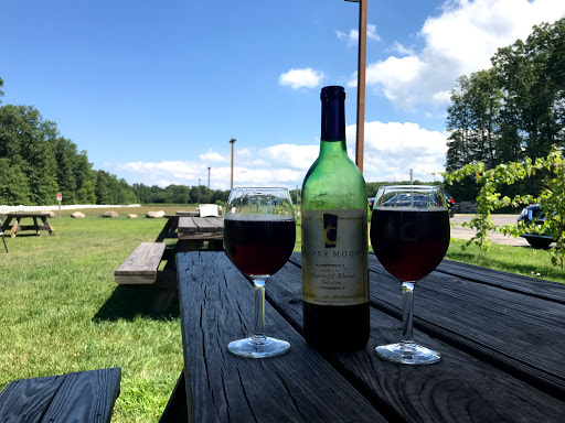 Winery «Paper Moon Vineyards», reviews and photos, 2008 State Rd, Vermilion, OH 44089, USA