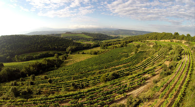 Domaine La Florane à Visan