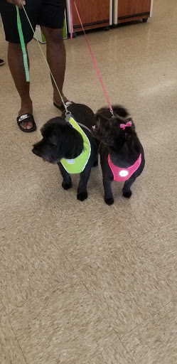 Pet Supply Store «PetSmart», reviews and photos, 10164 Colerain Ave, Cincinnati, OH 45251, USA