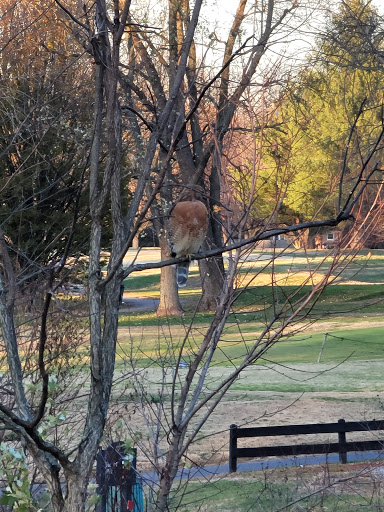 Golf Course «Sun Valley Golf Course», reviews and photos, 6505 Bethany Ln, Louisville, KY 40272, USA