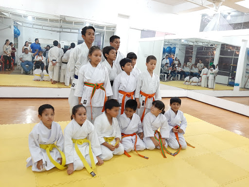 Clases hapkido Piura