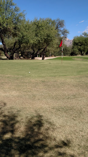 Golf Course «Quail Canyon Golf Course», reviews and photos, 5910 N Oracle Rd, Tucson, AZ 85704, USA