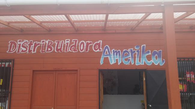 Opiniones de Distribuidora Amerika en Villarrica - Tienda de muebles