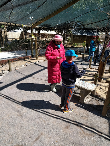 Zoo «Gulf Breeze Zoo», reviews and photos, 5701 Gulf Breeze Pkwy, Gulf Breeze, FL 32563, USA