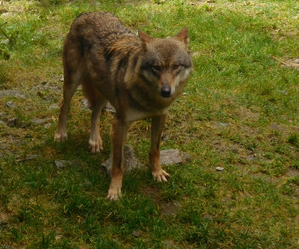Photo n° 2 de l'avis de Daniel.e fait le 19/01/2017 à 22:46