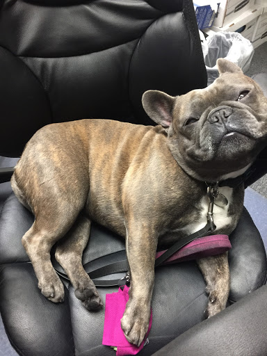 Liquor Store «The Jug Shop», reviews and photos, 1590 Pacific Ave, San Francisco, CA 94109, USA