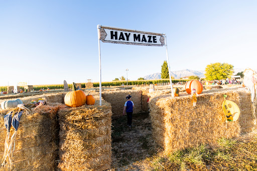 Insurance Agency «Farm Bureau Financial Services: Tate Secrist», reviews and photos