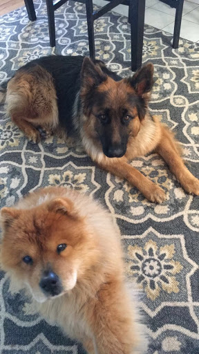 Elite Pet Services LLC