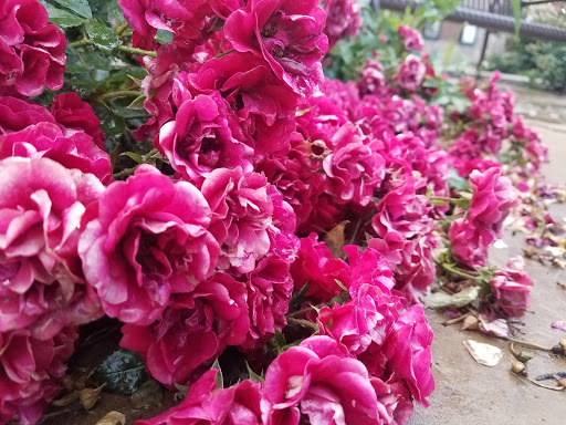 Movie Theater «Megaplex Theatres at Legacy Crossing», reviews and photos, 1075 Legacy Crossing Boulevard, Centerville, UT 84014, USA