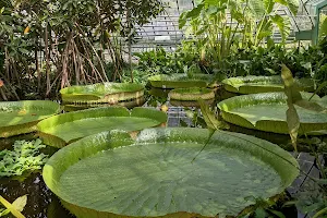University of Basel Botanical Garden image