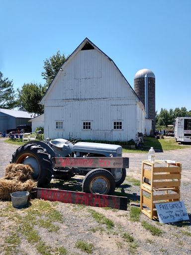 Produce Market «Natura Farms», reviews and photos, 19060 Manning Trail N, Marine on St Croix, MN 55047, USA