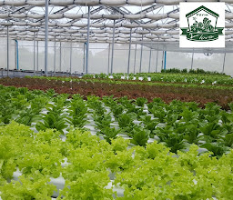 VLove Farm photo