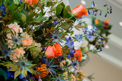 Gift Shop «The Fiddly Fig Florist», reviews and photos, 22 W 63rd St, Kansas City, MO 64113, USA