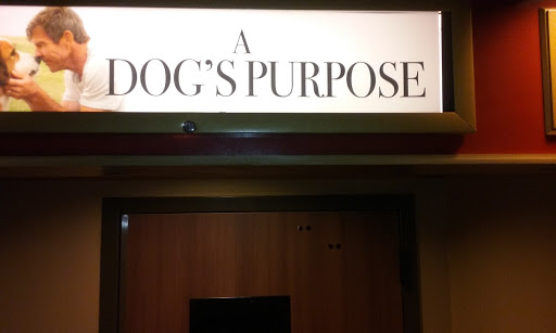 Movie Theater «Cinemark Helena 8 And XD», reviews and photos, 750 Great Northern Blvd, Helena, MT 59601, USA