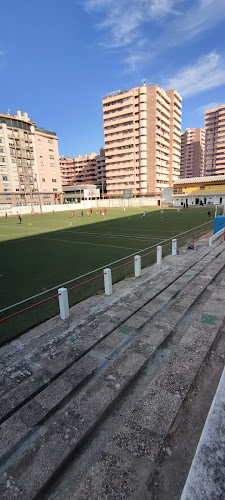 Sport Futebol Palmense