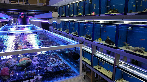 Tropical Fish Store «BluReef Aquarium», reviews and photos, 2198 Flatbush Ave, Brooklyn, NY 11234, USA