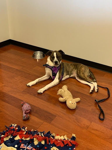 Subaru Dealer «Brilliance Subaru», reviews and photos, 1500 N Randall Rd, Elgin, IL 60123, USA