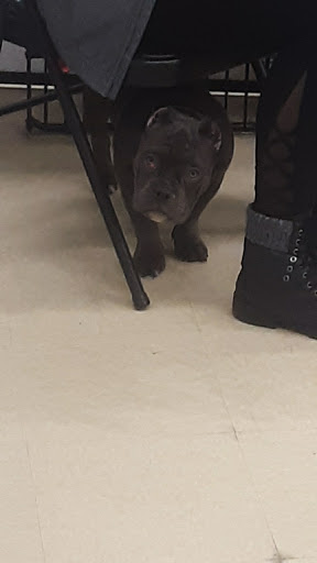 Pet Supply Store «Petco Animal Supplies», reviews and photos, 1150 Concord Ave #160, Concord, CA 94520, USA