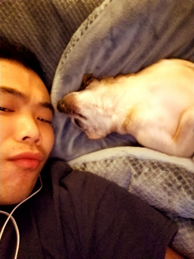 Grocery Store «Albertsons», reviews and photos, 3825 Alton Pkwy, Irvine, CA 92606, USA