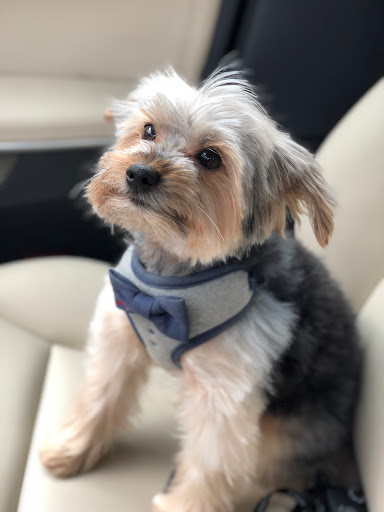 Pet Supply Store «PetSakes», reviews and photos, 1575 E Euclid Ave, Des Moines, IA 50316, USA