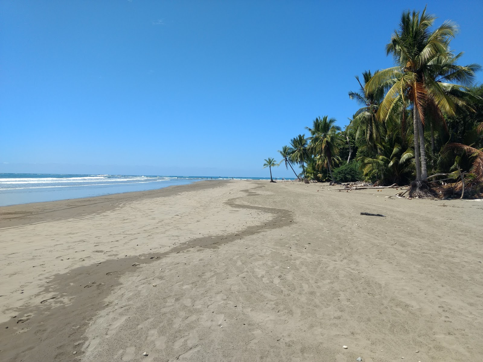 Foto von Playa Uvita mit langer gerader strand