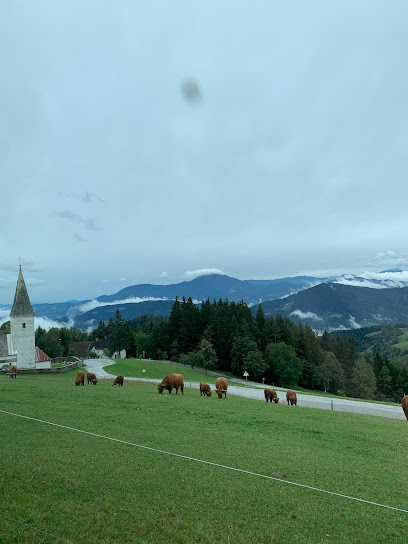 Posvojitev domačih živali