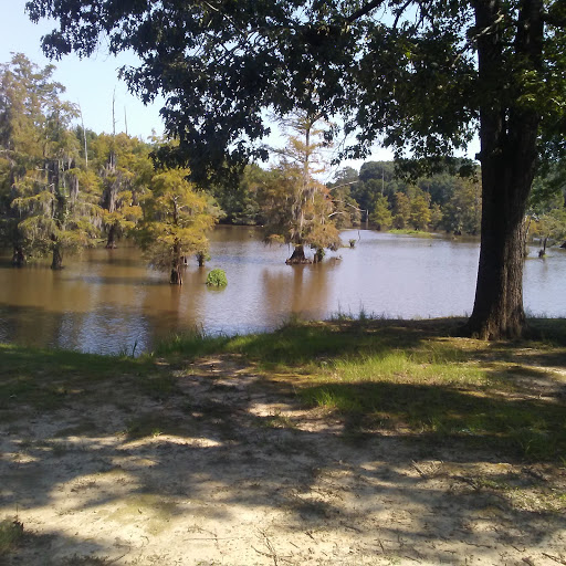 Park «Leake County Water Park», reviews and photos, 1190 Park Rd, Lena, MS 39094, USA