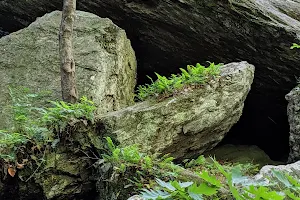 Bears Den Natural Area image