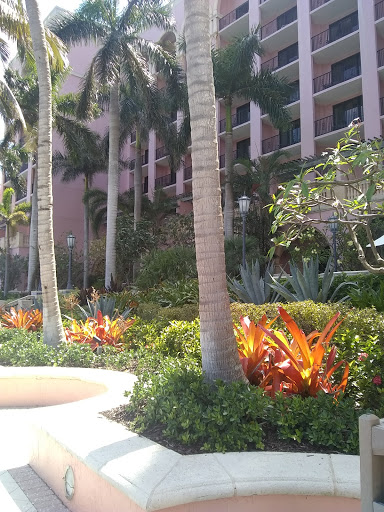 Coffee Shop «Starbucks», reviews and photos, 423 S Federal Hwy, Pompano Beach, FL 33062, USA