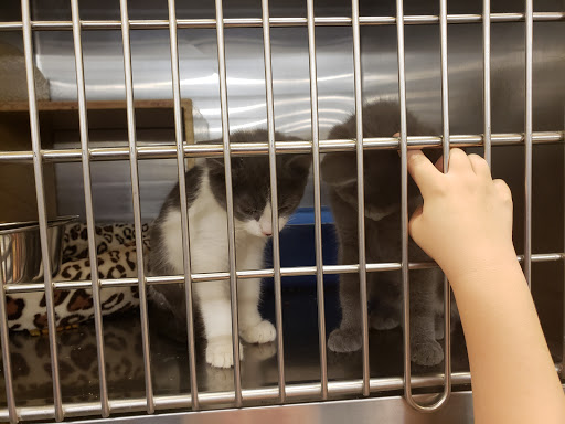 Pet Supply Store «PetSmart», reviews and photos, 215 N Burkhardt Rd, Evansville, IN 47715, USA