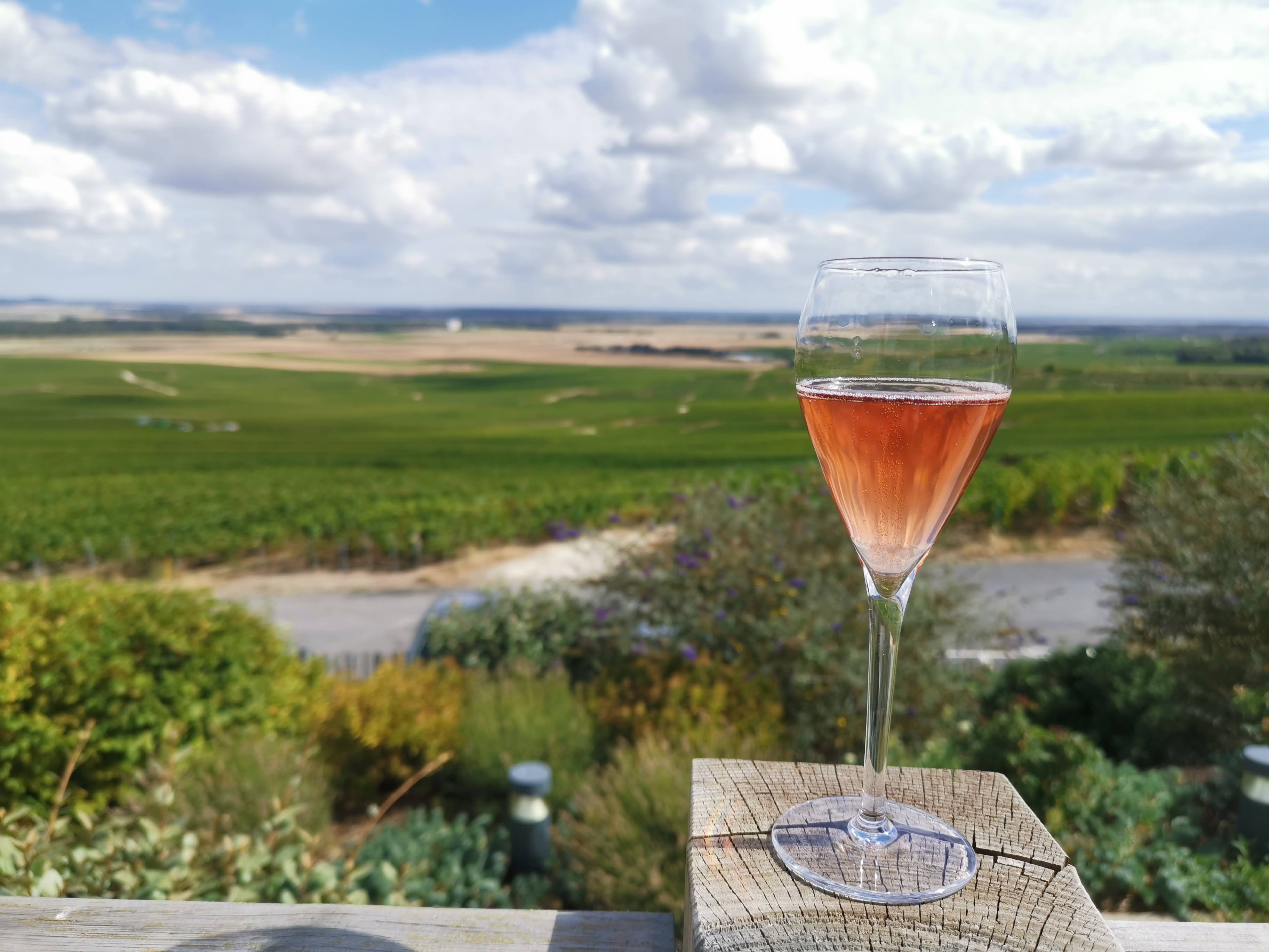 Photo n° 5 de l'avis de Jérôme.e fait le 10/09/2020 à 09:26