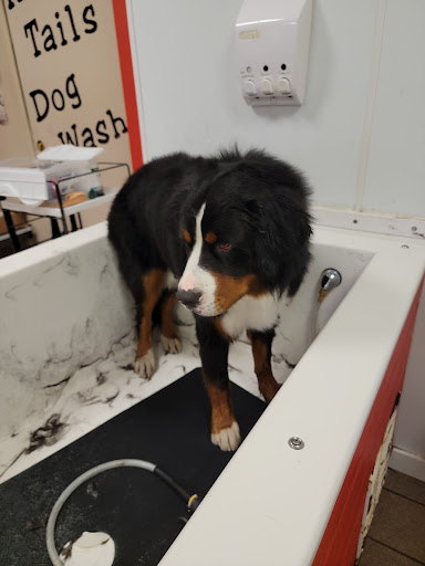 Pet Groomer «Happy Tails Self-Serve Dog Wash», reviews and photos, 267 Cotuit Rd Unit D, Sandwich, MA 02563, USA