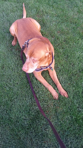 Park «Seahurst Park», reviews and photos, 1600 SW Seahurst Park Rd, Burien, WA 98166, USA