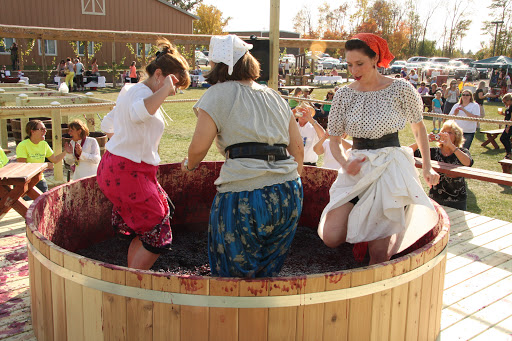 Winery «Crow River Winery», reviews and photos, 14848 MN-7, Hutchinson, MN 55350, USA