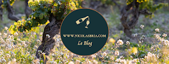 Nicolas Bria - Communication et Marketing pour les professionnels du Vin Valliguières