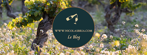 Nicolas Bria - Communication et Marketing pour les professionnels du Vin à Valliguières