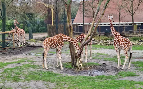 Rivièrahal Blijdorp Rotterdam Zoo image