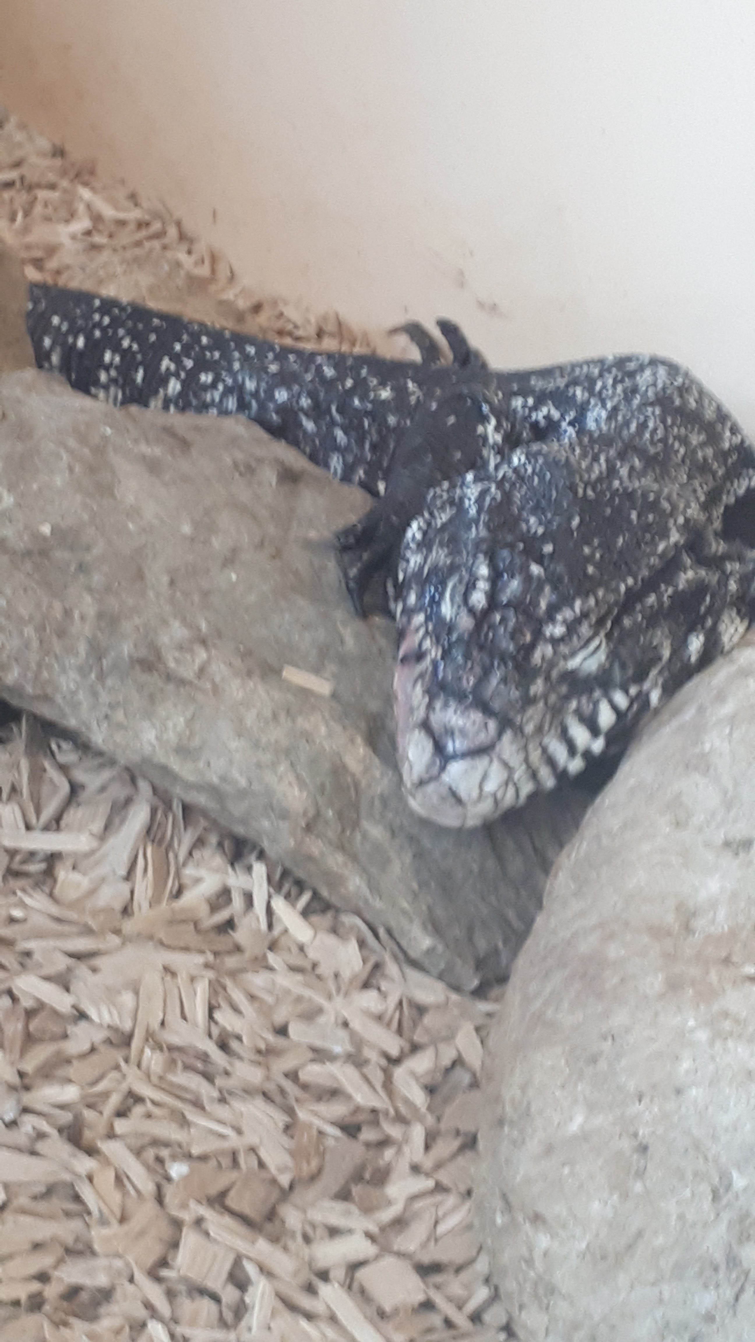 Photo n° 7 de l'avis de Sophie.P fait le 04/08/2019 à 12:50