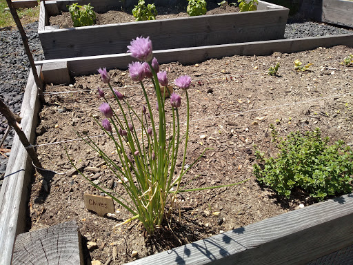 Museum «East Jersey Old Town Village», reviews and photos, 1050 River Rd, Piscataway Township, NJ 08854, USA