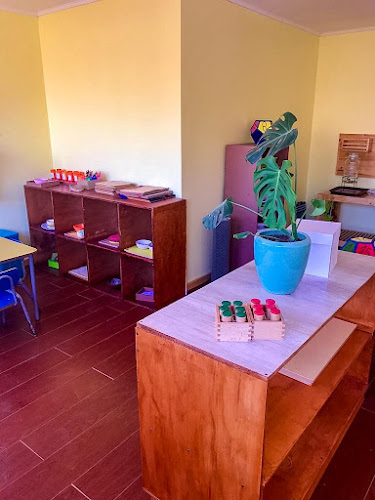 Escuela El Árbol - Montessori - Guardería