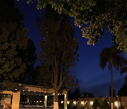 Camino Real Guadalajara photo